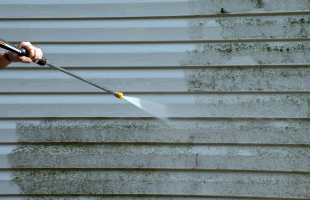 Best Residential Mold Removal  in Barnum Island, NY