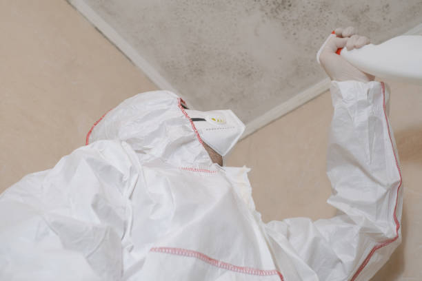 Best Mold Testing  in Barnum Island, NY